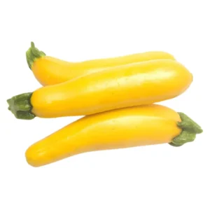 Courgette longue jaune